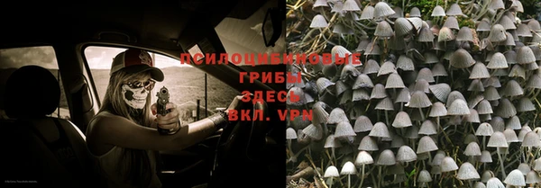 spice Краснотурьинск